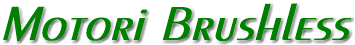 motori brushless